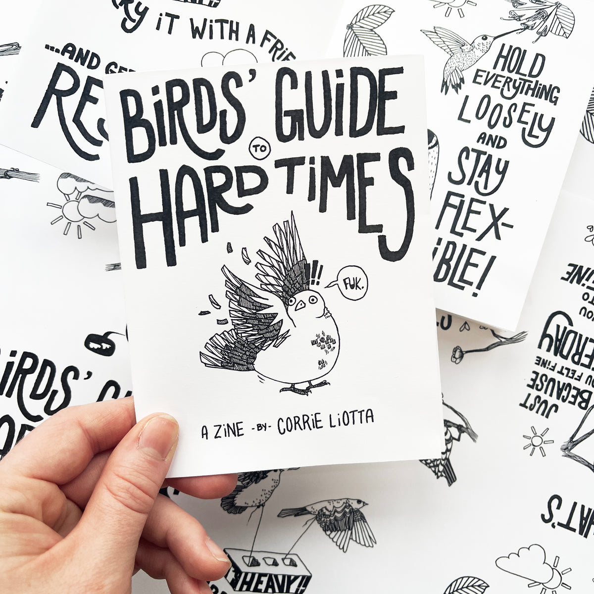 Birds' Guide to Hard Times (A Zine)